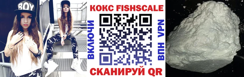 COCAIN Fish Scale  где продают   Краснозаводск 