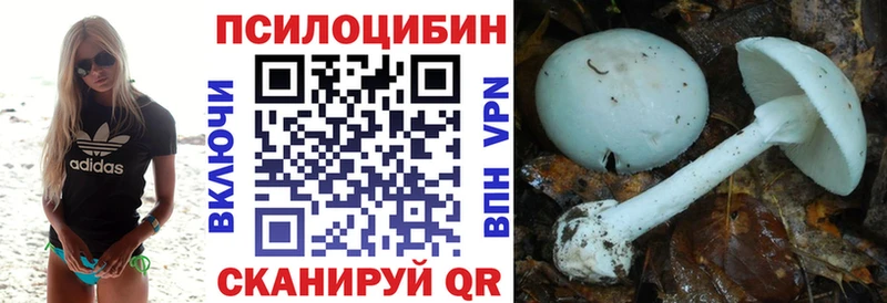 kraken зеркало  где купить наркоту  Краснозаводск  Галлюциногенные грибы Psilocybine cubensis 